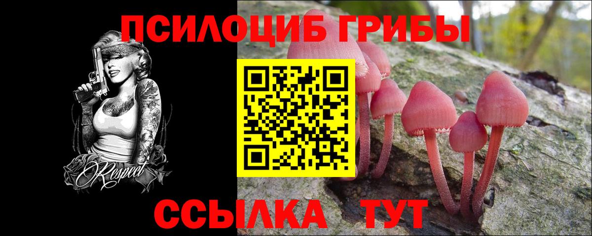 Екатеринбург  Галлюциногенные грибы прущие грибы  Псилоцибиновые грибы MAGIC MUSHROOMS  Вход с VPN 